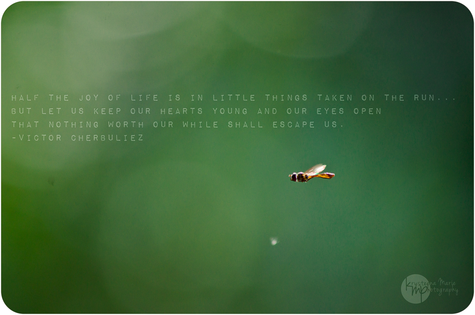 Half the joy of life is in little things taken on the run... but let us keep our hearts young and our eyes open that nothing worth our while shall escape us.