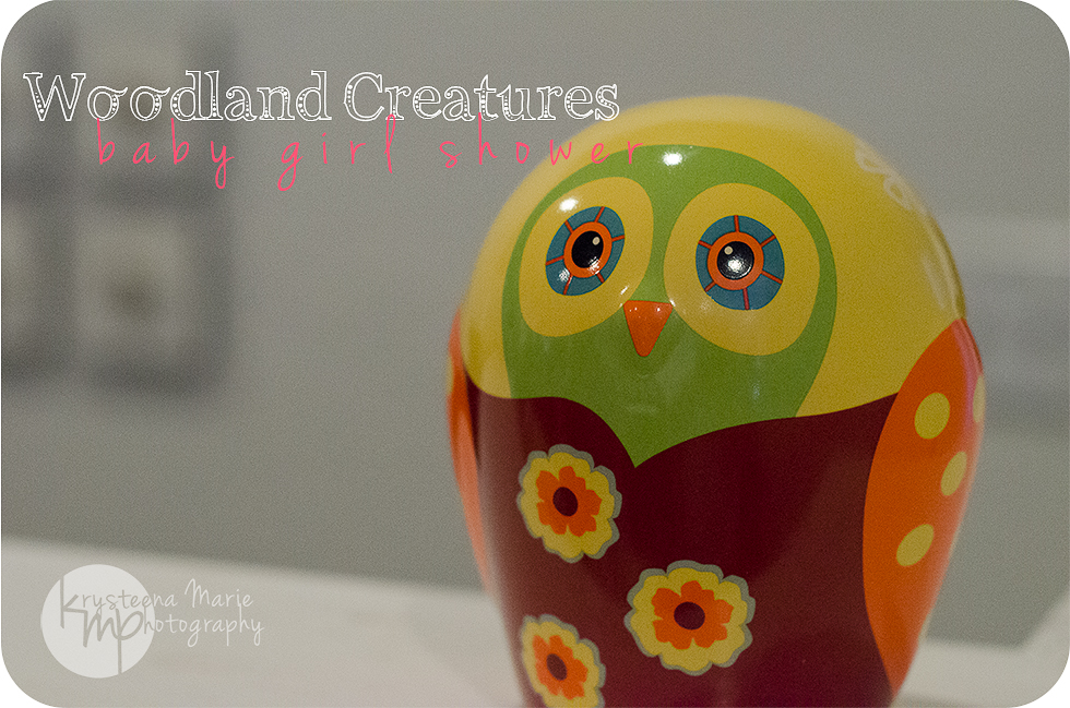 woodland creatures baby girl shower | Krysteena Marie Photography