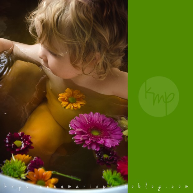 Krysteena Marie Photography | Newborn session, herbal bath with big sister and flowers